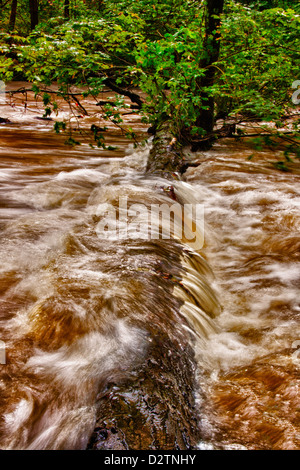 Les inondations le long de la rivière Brandywine Creek/Chester Comté PA. Banque D'Images