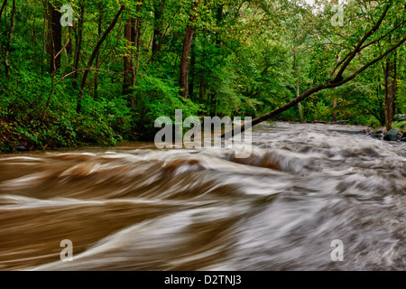 Les inondations le long de la rivière Brandywine Creek/Chester Comté PA. Banque D'Images