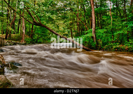 Les inondations le long de la rivière Brandywine Creek/Chester Comté PA. Banque D'Images