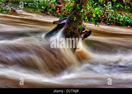 Les inondations le long de la rivière Brandywine Creek/Chester Comté PA. Banque D'Images