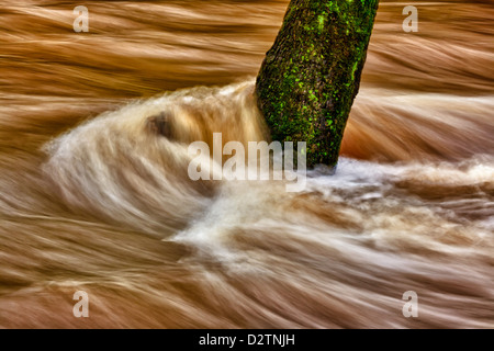 Les inondations le long de la rivière Brandywine Creek/Chester Comté PA. Banque D'Images