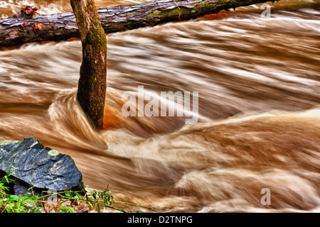 Les inondations le long de la rivière Brandywine Creek/Chester Comté PA. Banque D'Images