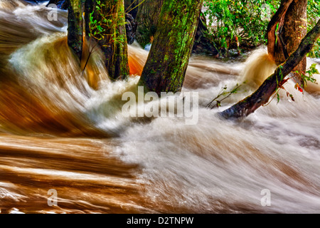 Les inondations le long de la rivière Brandywine Creek/Chester Comté PA. Banque D'Images