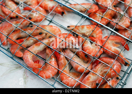 Crevette d'fruits de mer. Préparation pour un grill Banque D'Images