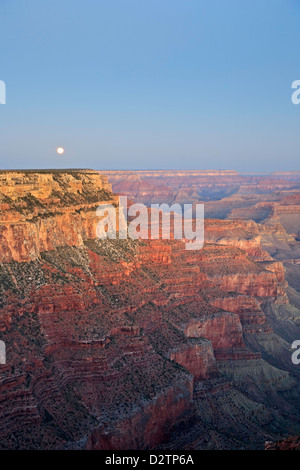 Lune et Grand Canyon de Yaki Point, Grand Canyon National Park, Arizona USA Banque D'Images