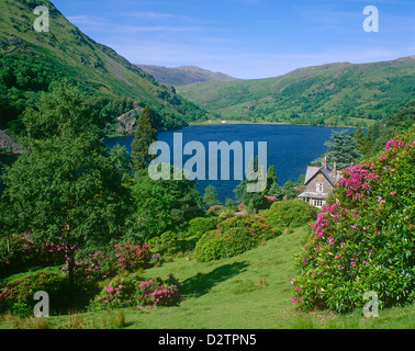 Paysage typique Snowdonian, Snowdonia, près de Betws-Y-coed, Gwynedd, Pays de Galles Banque D'Images