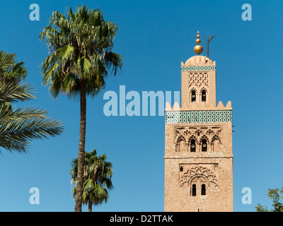 Minaret de Koutoubia vu contre ciel bleu et de palmiers, Marrakech, Maroc, Afrique du Nord