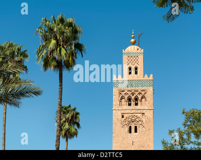 Minaret de Koutoubia vu contre ciel bleu et de palmiers, Marrakech, Maroc, Afrique du Nord
