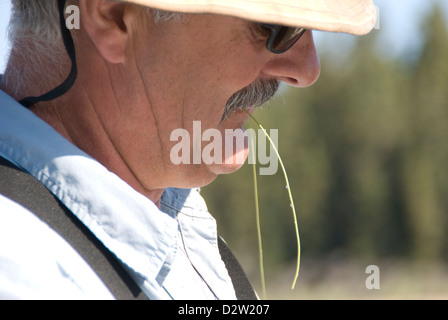 Guide de pêche préparation pour attacher un chef à une ligne de mouche. Banque D'Images