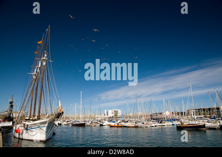 Belles photos montrant voiliers dans le port de Port Vell, Barcelone Espagne Banque D'Images