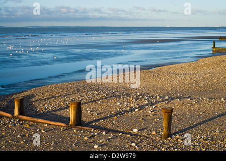 Au début de l'hiver matin sur la plage, Bracklesham Bay, West Sussex, UK Banque D'Images