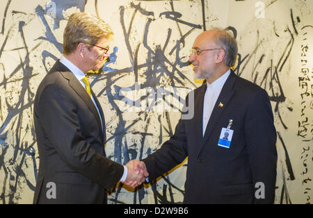 Miniter allemand des affaires étrangères Guido Westerwelle (FDP, L) et le Ministre égyptien des affaires étrangères Ali Akbar Salehi saluent à la 49e Conférence de Munich sur la politique de sécurité à Munich, Allemagne, 02 février 2013. La conférence aura lieu du 01 au 03 février 2013 et sera suivi par quelque 400 participants de 90 pays. Photo : MARC MUELLER/Alamy live news. Banque D'Images