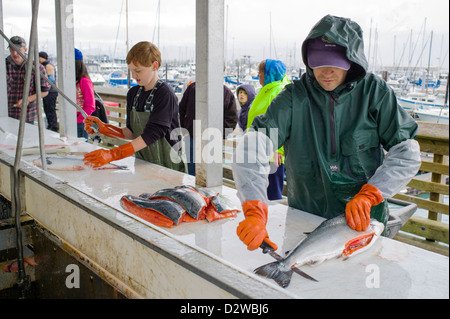 Pêcheur et capitaines de bateau charter nettoyer leurs prises de la journée sur les quais, Seward, Alaska, USA Banque D'Images