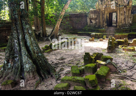 La jungle et les ruines d'Angkor, Royal Palace porte est, au Cambodge Banque D'Images