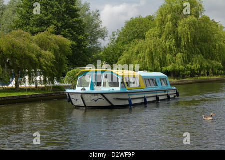 Un croiseur à moteur sur la rivière Bure à Norfolk, en direction de la Norfolk Broads National Park Banque D'Images