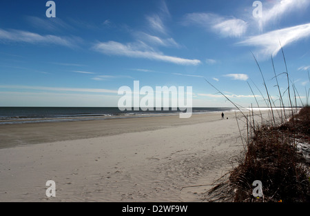 Une figure solitaire marcher un chien promenades le long d'une plage tranquille, dans la Caroline du Sud, USA Banque D'Images