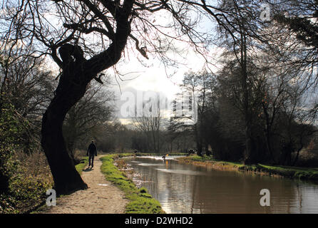 2 février 2013. Ripley, Surrey, Angleterre, Royaume-Uni. Un canoéiste paddles le long du Canal Wey comme un walker flâne le long du chemin de halage par une froide journée d'hiver ensoleillée. Banque D'Images