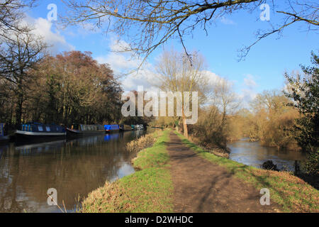 2 février 2013. Ripley, Surrey, Angleterre, Royaume-Uni. Le soleil brille sur une froide journée d'hiver et où les bateaux sont amarrés sur la voie navigable Wey Canal. Les eaux tumultueuses de la rivière Wey sont situés à la droite de l'halage, le canal est complètement calme vers la gauche. Banque D'Images