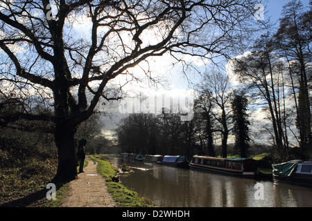 2 février 2013. Ripley, Surrey, Angleterre, Royaume-Uni. Le soleil brille sur une froide journée d'hiver et où les bateaux sont amarrés sur la voie navigable Wey Canal. Banque D'Images