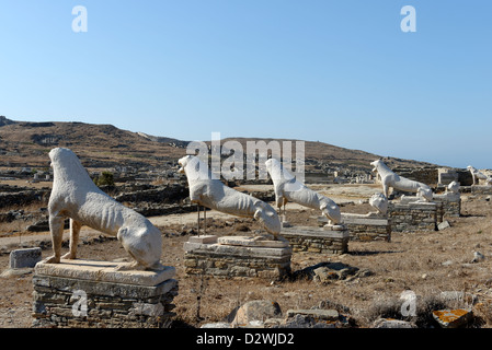 Délos. La Grèce. Grand ligne de cinq sculptures de lion en marbre conçu et consacré par l'Naxians au 7ème siècle avant JC. Banque D'Images