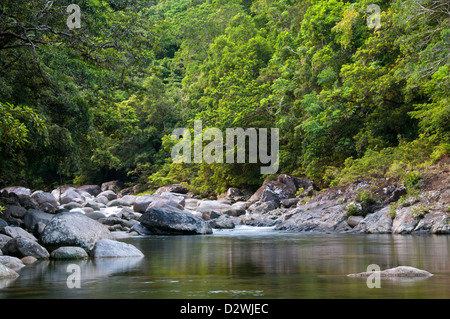 Mossman Gorge, au nord de Cairns, près de Mossman, North Queensland, Australie Banque D'Images