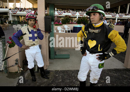 2 février 2013 - Oldsmar, Floride, États-Unis - Sky jockey LUIS SAEZ (L) parle aux fonctionnaires comme parler ange jockey Logistique SERPA (R) attend d'exposer son point de vue après une protestation de l'ingérence dans les 250 000 $ Sam F. Davis Stakes à Tampa Bay Downs. La protestation a été finalement rejeté et la chute Sky a pris la victoire. (Crédit Image : © Daniel Wallace/Tampa Bay Times/ZUMAPRESS.com) Banque D'Images