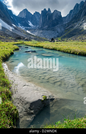 Cours d'eau par Fairy Meadow dans le Cirque de l'Unclimbables, Territoires du Nord-Ouest, Canada. Banque D'Images