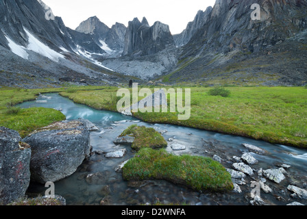 Cours d'eau par Fairy Meadow dans le Cirque de l'Unclimbables, Territoires du Nord-Ouest, Canada. Banque D'Images