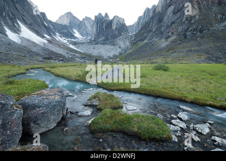 Cours d'eau par Fairy Meadow dans le Cirque de l'Unclimbables, Territoires du Nord-Ouest, Canada. Banque D'Images