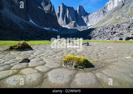 Étang saisonnier dans Fairy Meadow, le Cirque de l'Unclimbables, Territoires du Nord-Ouest, Canada. (Lotus Tour est dans l'arrière-plan.) Banque D'Images