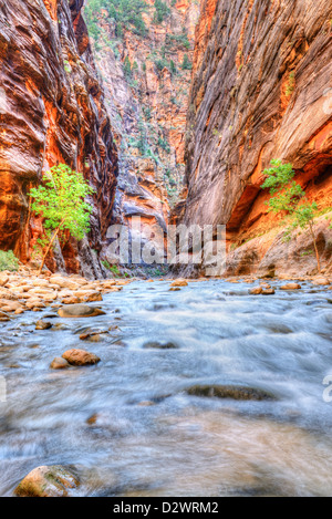 Virgin River dans le parc national de Zion, Utah, USA, sud-ouest Banque D'Images