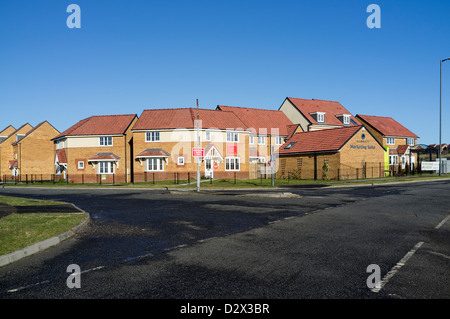 Un développement domiciliaire de Barratt Consett Banque D'Images