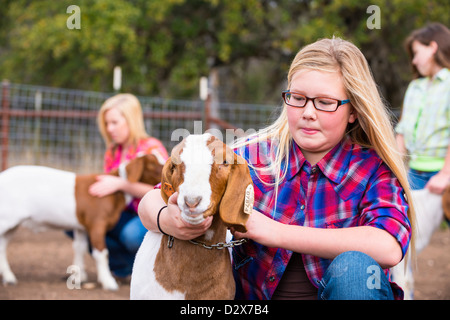Les filles de la ferme en prenant soin de l'élevage des chèvres, caresser et toilettage pour un stock show Banque D'Images