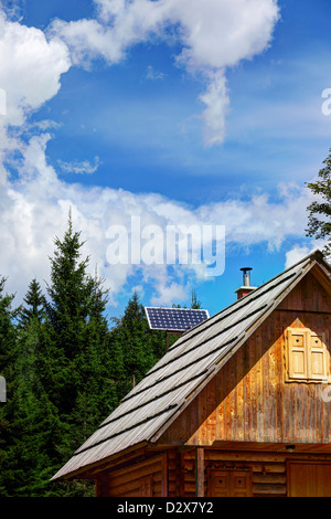 Maison en bois typique entouré de montagnes dans le Parc National de Triglav, Bohinj, région de Gorica, Slovénie, pays des Balkans Banque D'Images