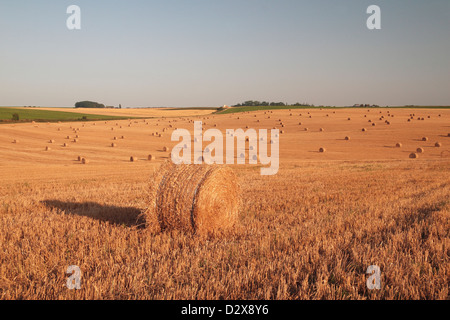 Un rouleau de paniers de paille (balles de foin) dans un grand champ de blé récolté en France. Banque D'Images