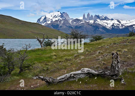 Laguna Azul et Los Torres, Parc National Torres del Paine, Patagonie, Chili Banque D'Images