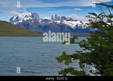 Laguna Azul et Los Torres, Parc National Torres del Paine, Patagonie, Chili Banque D'Images