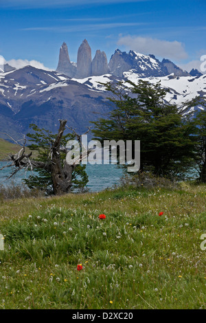 Laguna Azul et Los Torres, Parc National Torres del Paine, Patagonie, Chili Banque D'Images