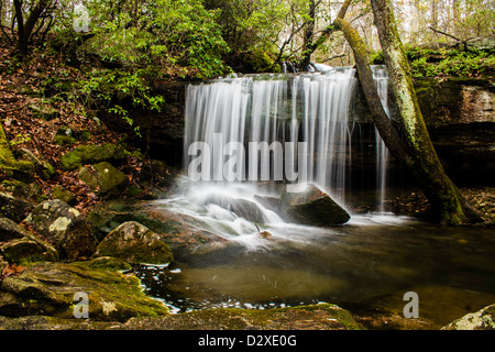 Laurel Falls dans la région de Desoto State Park California Banque D'Images