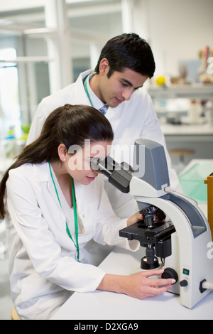 Scientists using microscope in laboratory Banque D'Images