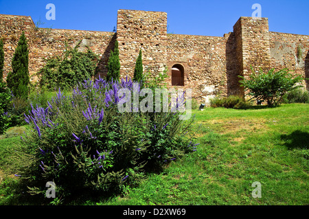 Les murs et les tours de jardin l'Alcazaba de Malaga, Adalucia, Espagne Banque D'Images