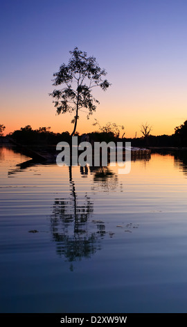 Lever du soleil près de Renmark sur la rivière Murray en Australie du Sud Banque D'Images