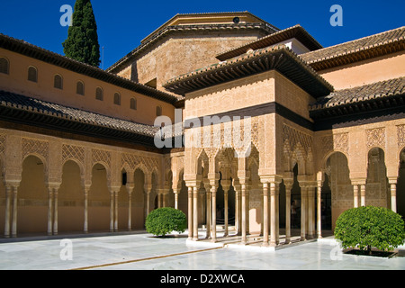 En colonnes et arcades entourant la cour du Palais des Lions dans l'Alhambra de Grenade, Andalousie, Espagne Banque D'Images