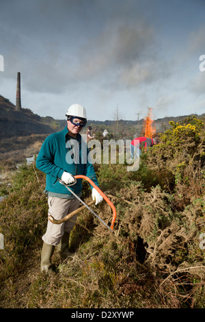 De grands travaux de conservation ; Seton papule, Cornwall, UK Banque D'Images