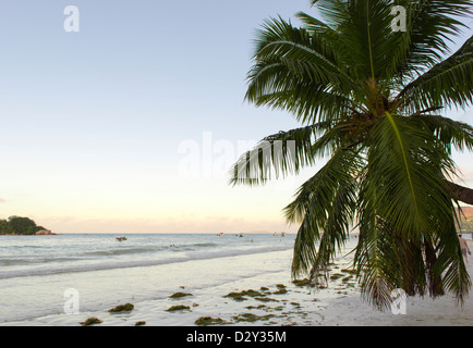 Tropical Beach at sunset Banque D'Images