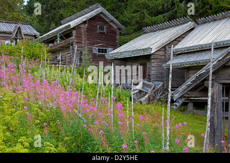 Vieux chalets en bois traditionnels / log cabins au village Fryksås, dalarna, Suède, Scandinavie Banque D'Images