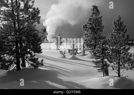 WY00215-00...WYOMING - Old Faithful éruption dans la partie supérieure du bassin du geyser de Parc National de Yellowstone. Banque D'Images