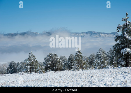 Les montagnes couvertes de neige dans l'arrière-plan font partie des montagnes Rocheuses, et le brouillard se trouve le long de la rivière Arkansas. Banque D'Images