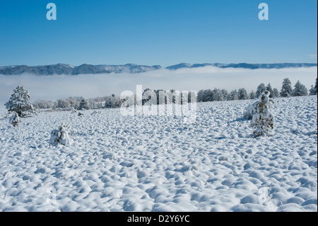 Les montagnes couvertes de neige dans l'arrière-plan font partie des montagnes Rocheuses, et le brouillard se trouve le long de la rivière Arkansas. Banque D'Images