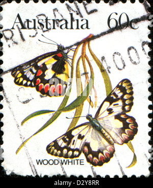 L'AUSTRALIE - circa 1981 : timbre imprimé en Australie montre un papillon blanc en bois, vers 1981 Banque D'Images